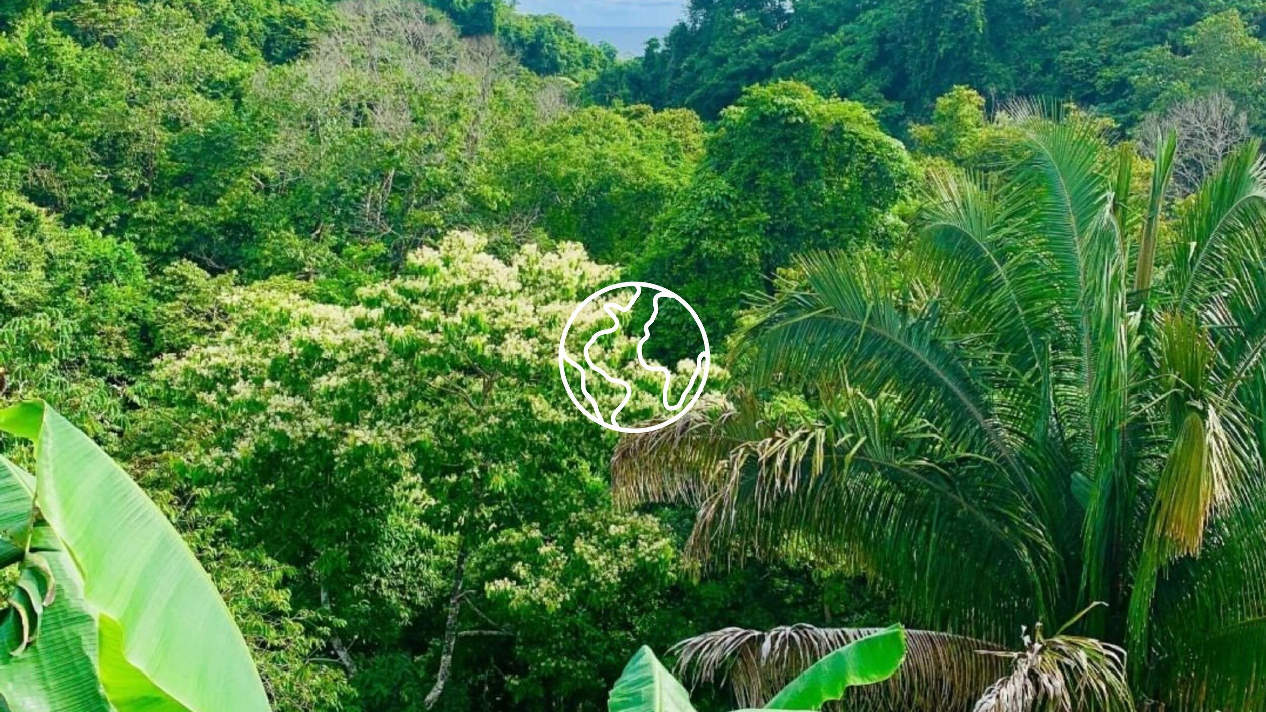 earth-day-hero.jpg Earth Day - BEAUTY PIE Eco Credentials