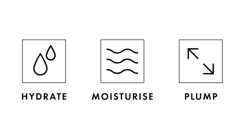 hydrate-moisturise-plump-infographic.jpg Hydrate Moisturise Plump Infographic